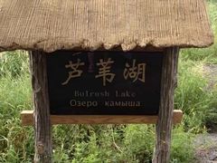 -北药泉