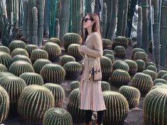 -南山植物园