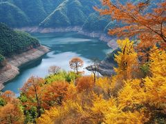 -四明山国家森林公园