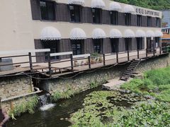 -Local泰莲庭(虹鳟鱼店)
