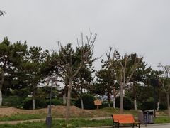 -泉城欧乐堡梦幻世界