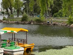 -长春市南湖公园