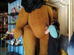 -济州岛泰迪熊博物馆