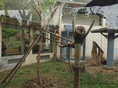 -合肥野生动物园