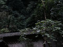 -桂林古东瀑布景区