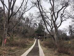 -青龙山国家森林公园