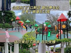 -银湖山郊野公园-相思林