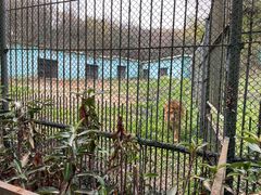 -南京珍珠泉风景区