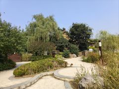 -诗经里