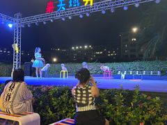 -渔家火锅·海鲜自助餐·演艺(亚龙湾天域酒店)