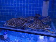 -面道赞宁海海鲜面(迎凤街店)