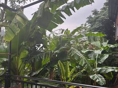 -勐巴拉云顶餐厅