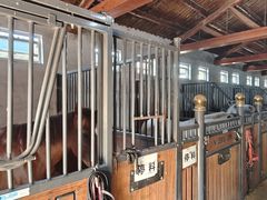 -北京群众马术培训基地