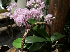 -北平小院设计酒店