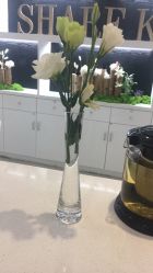 -依萱绮医疗美容