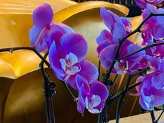 -重元寺香积厨素斋馆