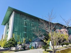 -杭州观成实验学校