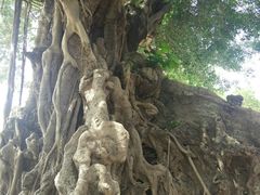 -闽粤南澳总镇府
