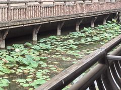 -龙潭水乡