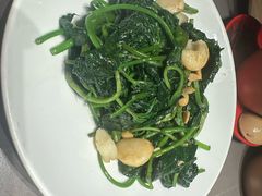 生产红薯叶-阿诚市井潮汕菜(金台路店)