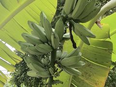 -云溪植物园