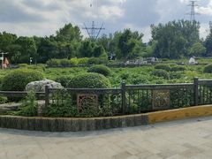 -黑龙江省森林植物园