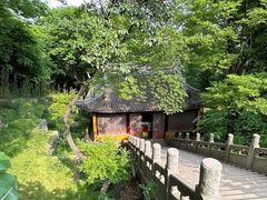 -雨花胜境