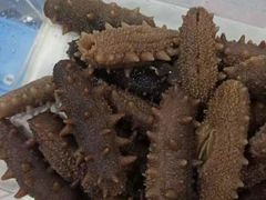 -宫品海参专卖店(黄浦老西门店)