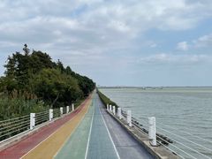 -贡湖湾湿地公园