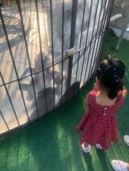 -萌宠亲子动物乐园(槐房万达店)