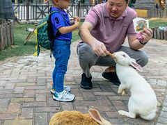 -灵玲国际马戏城