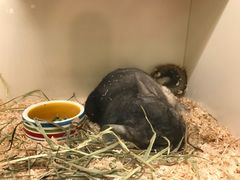 -龙猫仔乐园(惠福东路店)