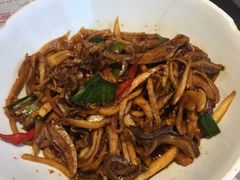 -壹盏灯(惠农店)