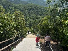 -石燕湖生态旅游景区