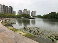 -新江湾城公园