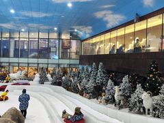 -世界之窗阿尔卑斯冰雪世界