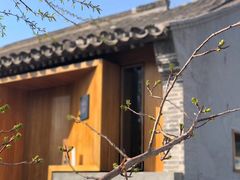 -春风习习