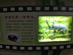 -上海昆虫博物馆