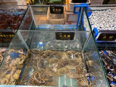 -九月海·海鲜自助(世纪东方店)