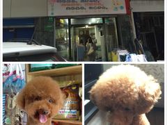 iphone_upload_pic-守诺宠物医院·眼科· 特色牙科·异宠专科(虹口店)