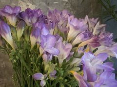 -良木缘咖啡西餐(川大店)