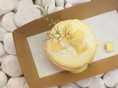 -狐狸和向日葵(北京路店)