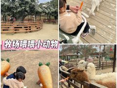 -盈香心动乐园