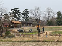 -南阳卧龙岗武侯祠