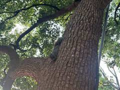 -良子足浴(湖滨店)