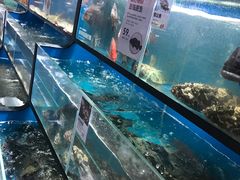 水产区-盒马鲜生(曜一城店)