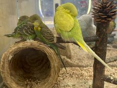 -安徽省地质博物馆