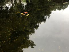 -荔湾湖公园