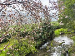 -中国茶叶博物馆(双峰馆区)