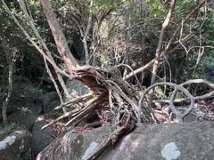 -七仙岭温泉国家森林公园